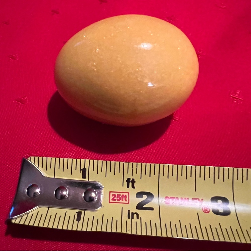 Pier 1 Golden Decorative Egg